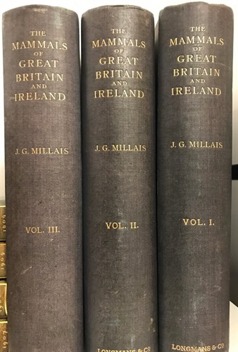 Lot 331 - MILLAIS (John Guille) The Mammals of Great...
