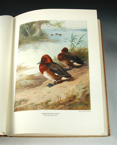 Lot 332 - MILLAIS (John Guille) British Diving Ducks, 2...