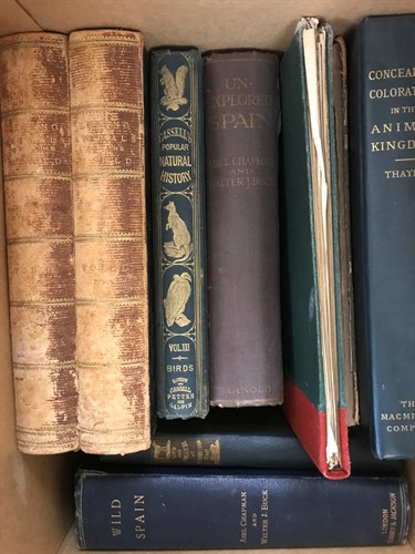 Lot 311 - Natural history and fauna. Collection of 19th...