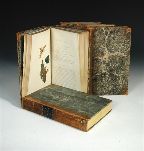 Lot 313 - DONOVAN (Edward) The Natural History of...