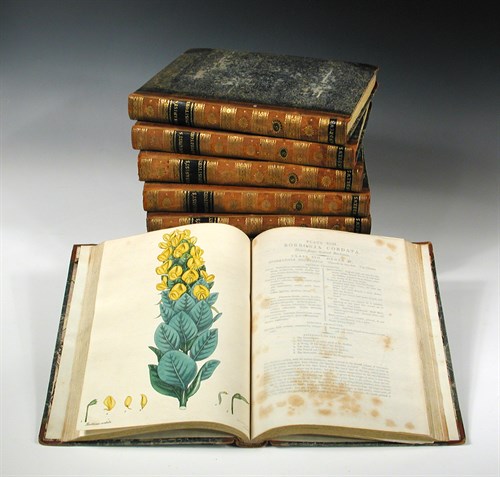 Lot 317 - ANDREWS (Henry), The Botanist's Repository for...