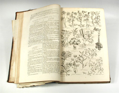 Lot 318 - HILL (John), The British Herbal and History of...