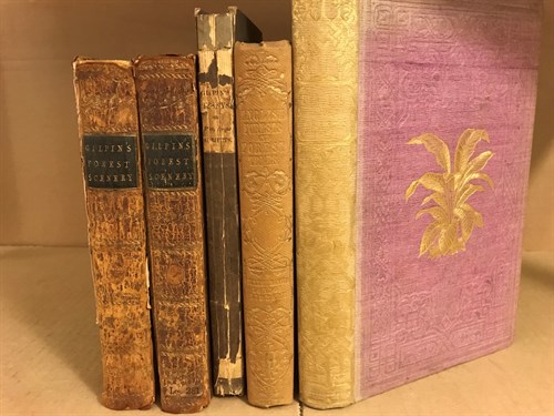Lot 320 - LOWE (E J) Beautiful Leaved Plants, London...