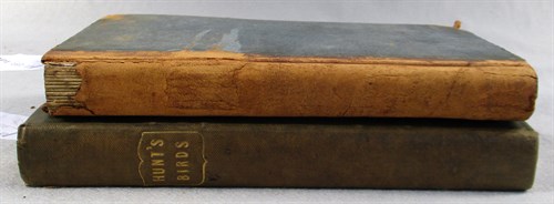 Lot 327 - Natural History. HUNT (John) British...