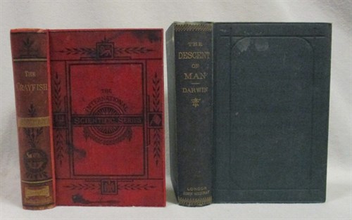 Lot 308 - DARWIN (C) The Descent of Man, 31st thousand,...