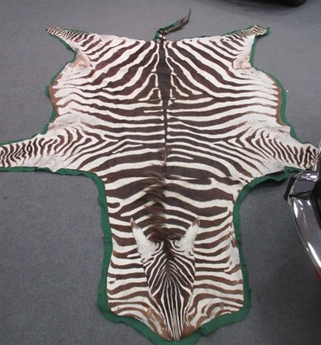 Lot 211 - A Plains Zebra skin, (Equus quagga)