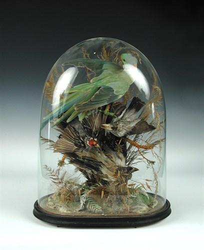 Lot 209 - A Victorian group of four exotic birds