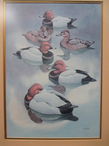 Lot 330 - Noel William Cusa (1909 - 1990) Pochards,...