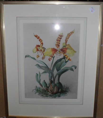 Lot 117 - Lilian Snelling, MBE  (British, 1879-1972)