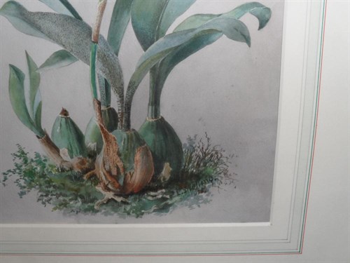 Lot 117 - Lilian Snelling, MBE  (British, 1879-1972)