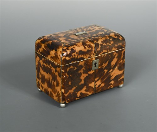 Lot 292 - A Regency tortoiseshell tea caddy