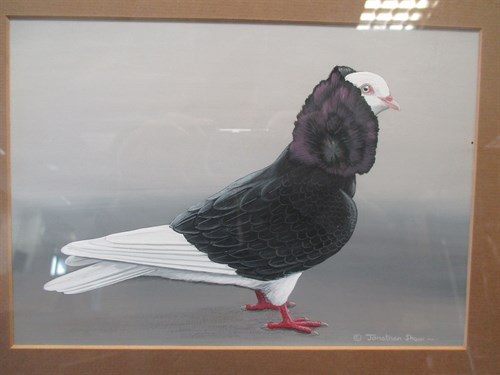 Lot 307 - Jonathan Shaw, Cappucin, Gouache signed lower...