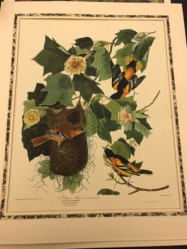 Lot 9 - A group of 10 colour reproduction botanical...