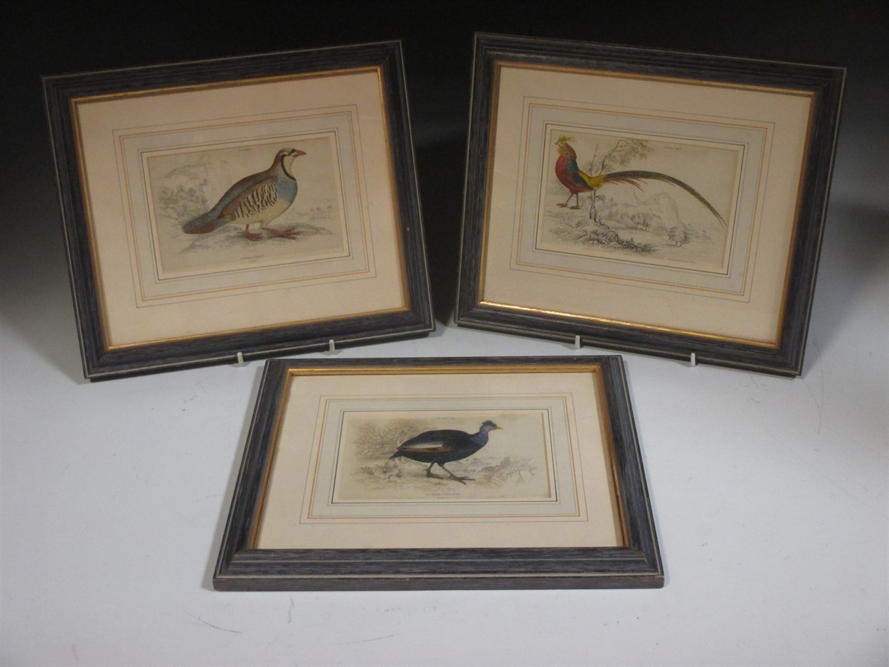 Lot 275 - Three small bird prints