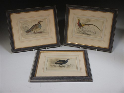Lot 275 - Three small bird prints