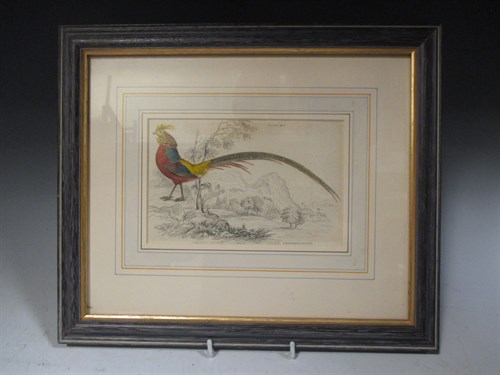 Lot 275 - Three small bird prints
