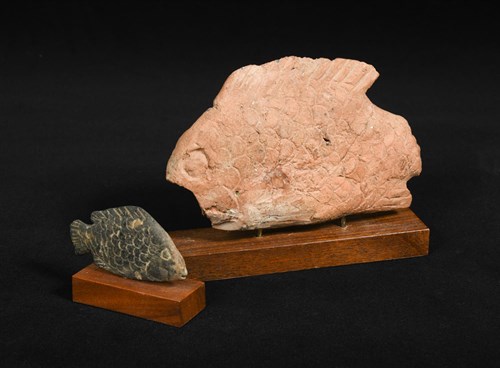 Lot 270 - An Egyptian terracotta Tilapia