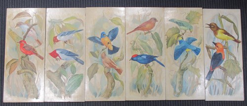 Lot 360 - Six studies of Argentinian birds, Red Viudita,...