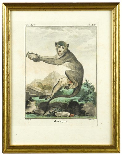 Lot 360 - Christian Friedrich Fritzsch (German, 1719-1774) after Jacques de Sève (French, fl. 1742-1788)