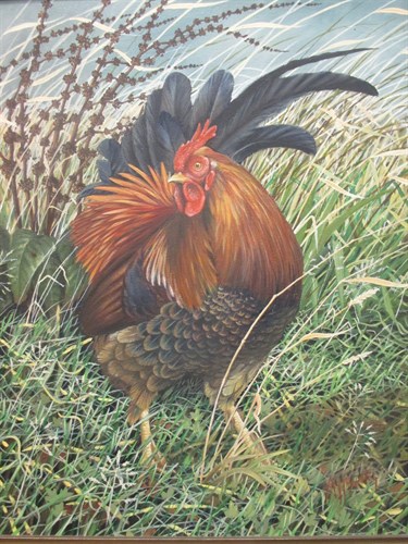 Lot 264 - Andy Mortley, Cockerel in grasses, Signed,...