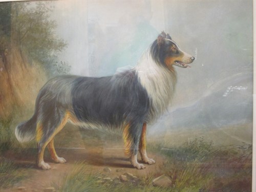 Lot 265 - Albert Milton Drinkwater (1862-), collie in a...