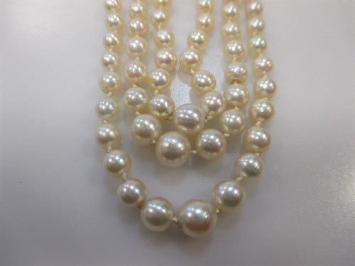 Lot 168 - Three rows of pearls, assumed to be cultured,...