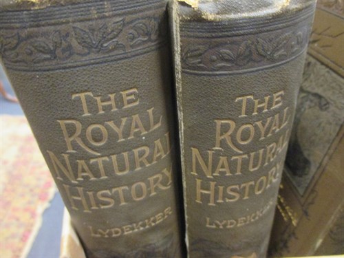 Lot 450 - LYDEKKER (Richard), The Royal Natural Nistory,...