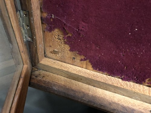 Lot 87 - A 19th century Gothic style glazed oak notice board