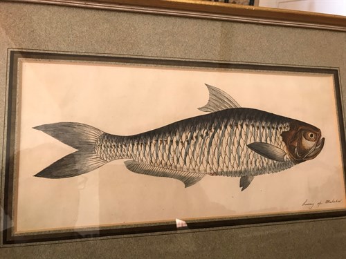 Lot 299 - British School 19th century, a pen, ink and...