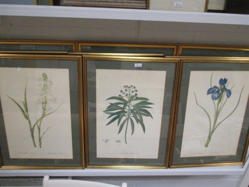 Lot 316 - Botanical prints, a set of nine together with...