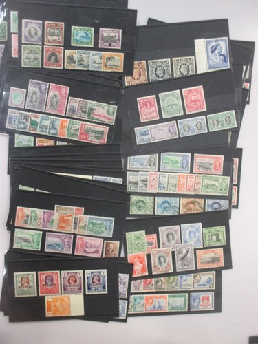 Lot 113 - A large collection of King George VI Stamps in...