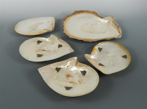 Lot 458 - A set of three silver mounted abalone shell dishes