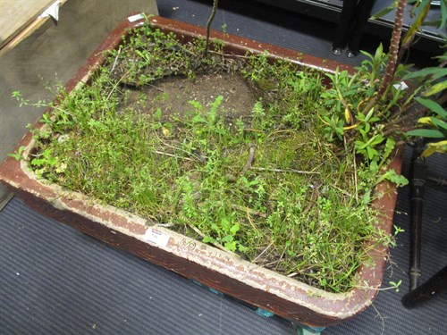 Lot 536 - A rectangular salt glazed shallow garden...