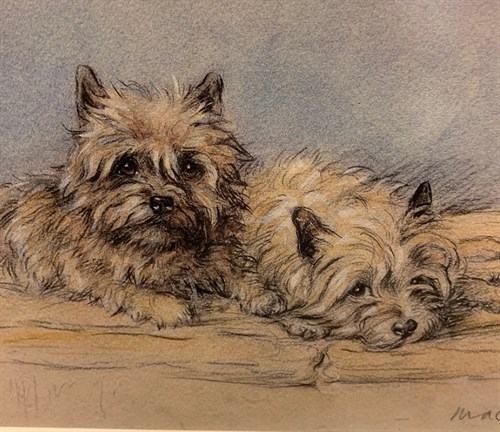 Lot 42 - MAC, Norwich Terriers, print, 16cm x 25cm