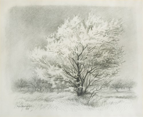 Lot 217 - Nan Youngman, OBE (British, 1906-1995)