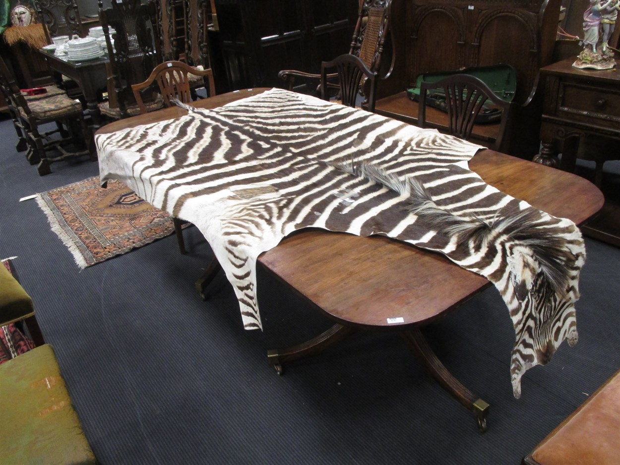 Lot 210 - A Zebra skin rug