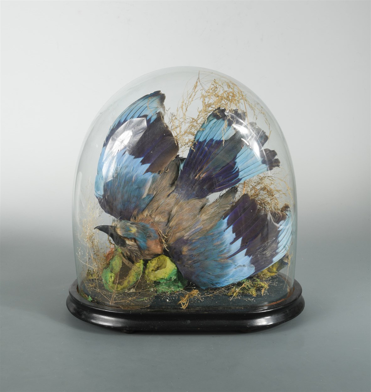 Lot 343 - Three Victorian glass domes of taxidermy