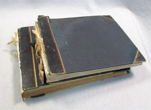 Lot 201 - Two late 19th century albums of watercolour...