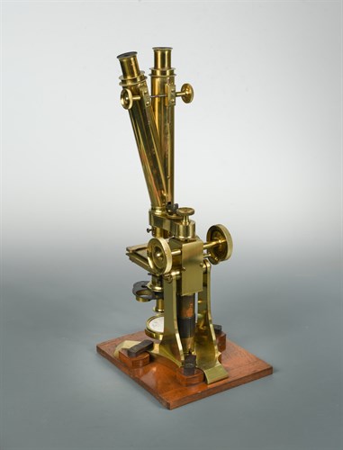 Lot 499 - A 19th Century lacquered brass compound binocular microscope, by J. Swift, 43 University St, London W.C.
