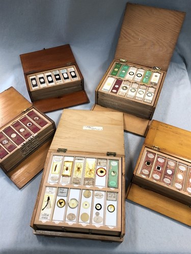 Lot 498 - Six boxes of 19th and 20th century microscope slides