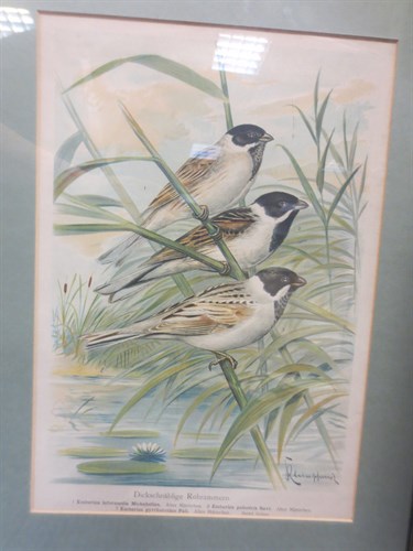 Lot 492 - Two Japanese woodblocks of Cranes and a Bird...