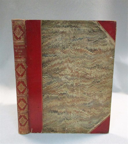 Lot 426 - HOWITT (Samuel)