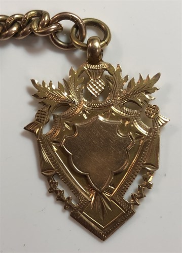 Lot 258 - Elgin - a gold plated full hunter pocket watch with accompanying 'Albert' chain stamped '9ct'