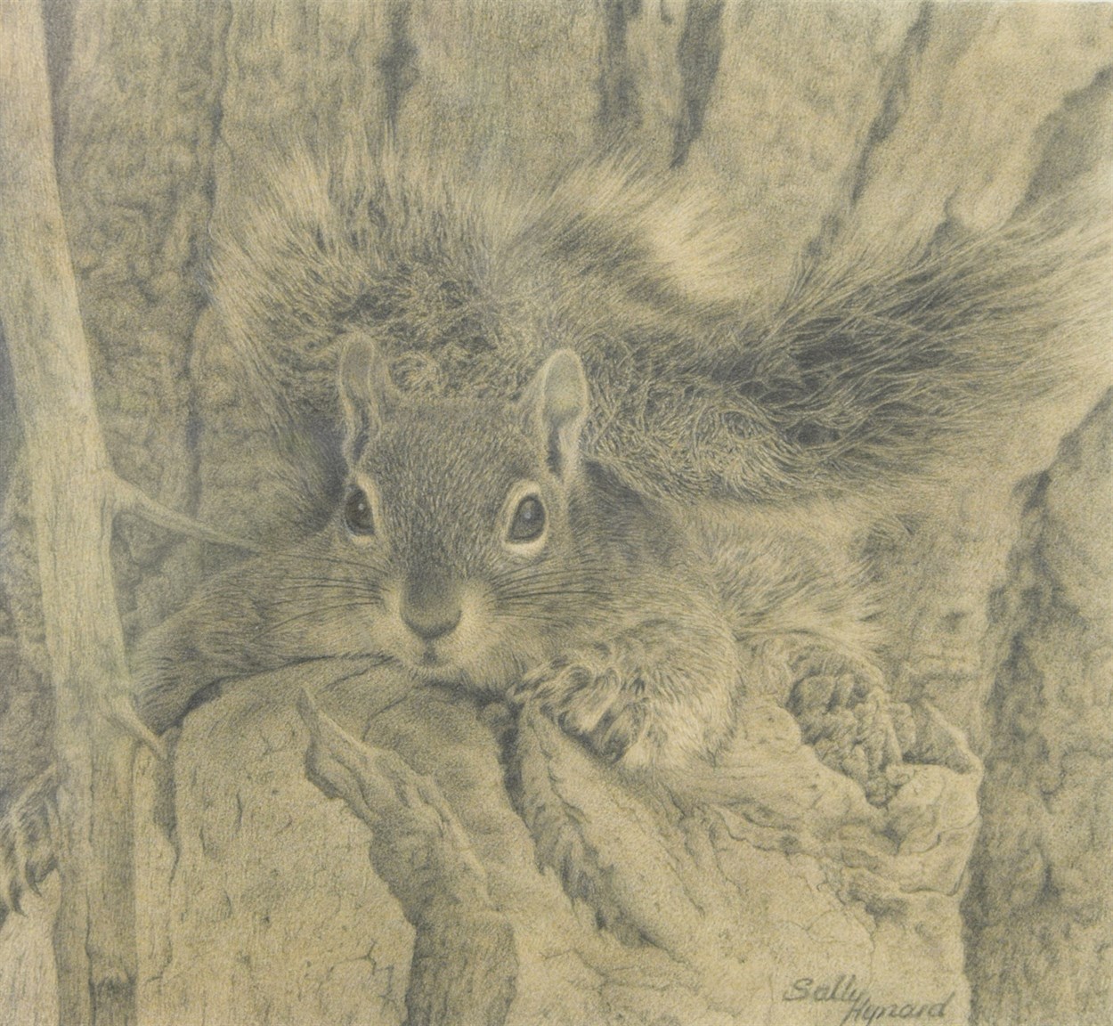 Lot 326 - Sally Hynard (British, 20th Century)
