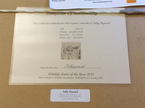 Lot 326 - Sally Hynard (British, 20th Century)