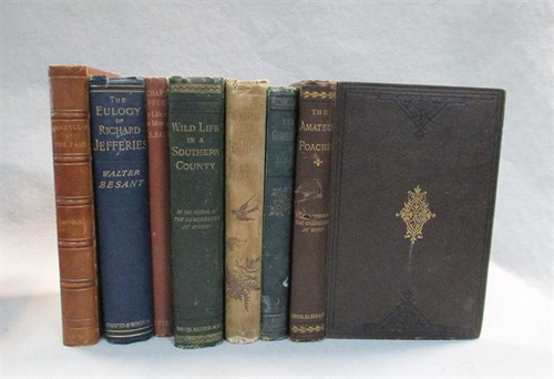 Lot 386 - JEFFERIES (Richard) seven titles: Amaryllis at...