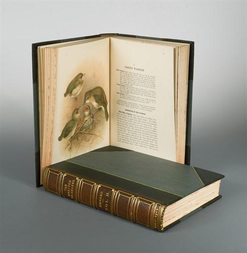 Lot 138 - HOWARD (Howard Eliot) The British Warblers, a...