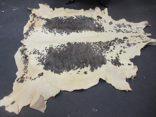 Lot 518 - A black and white cow hide