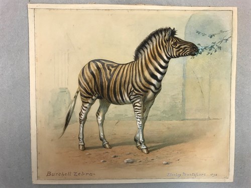 Lot 217 - Edward Brice Stanley Montefiore (fl....