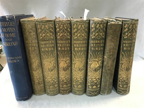 Lot 397 - MORRIS (Rev. F O) A History of British Birds,...